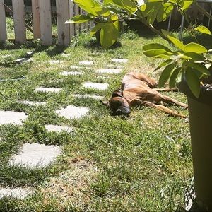 Meet your Posher, Angeles